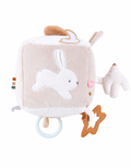 Cube d'activités - Noukie's Neige le lapin
